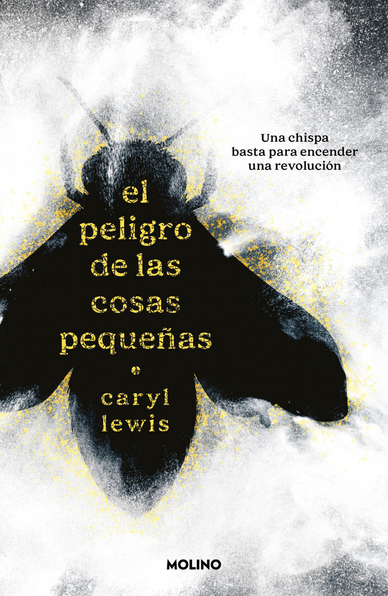 El peligro de las cosas pequeñas / The Danger of Small Things