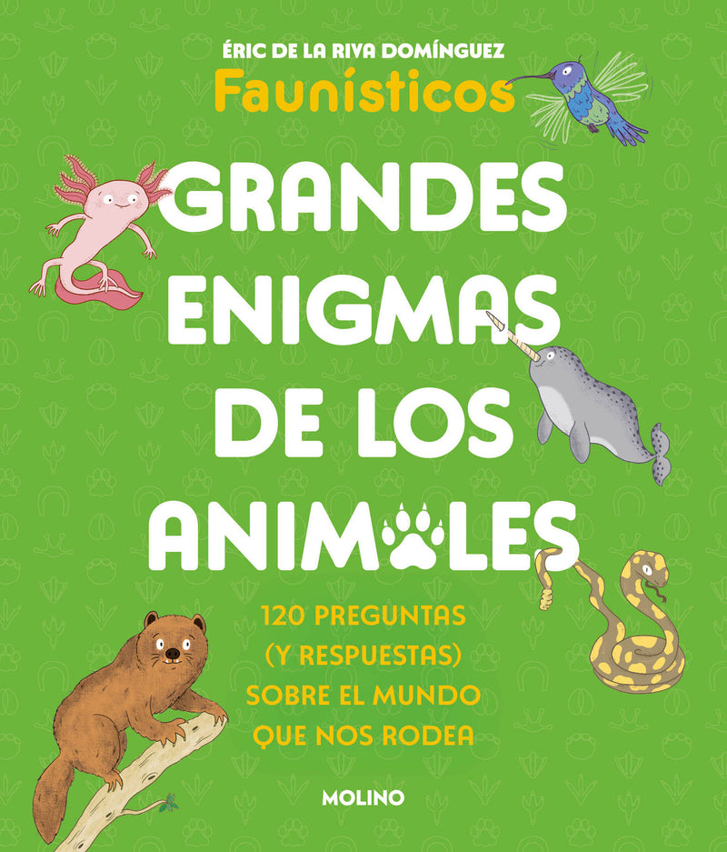 Grandes enigmas de los animales / Great Mysteries of the Animal Kingdom