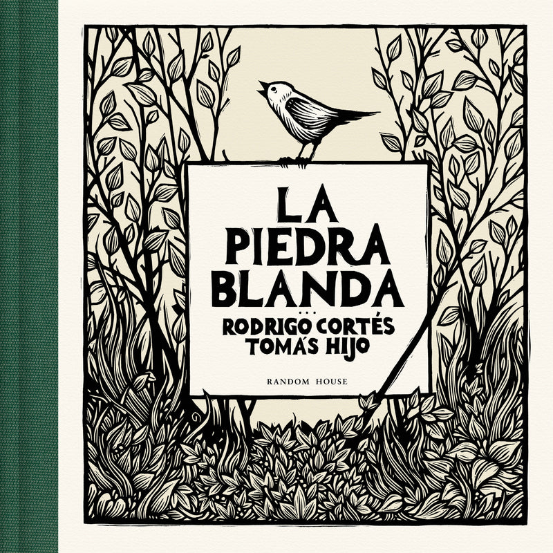 La piedra blanda / The Soft Stone