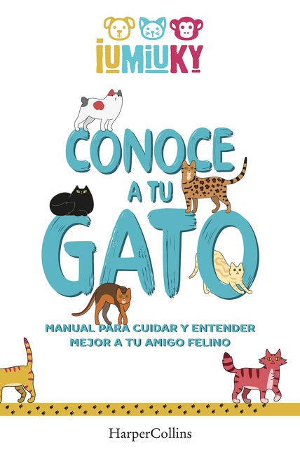 Conoce a tu gato (Meet your Cat): Manual para cuidar y entender mejor a tu amigo felino (How to Take Care and Understand your Feline Friend)