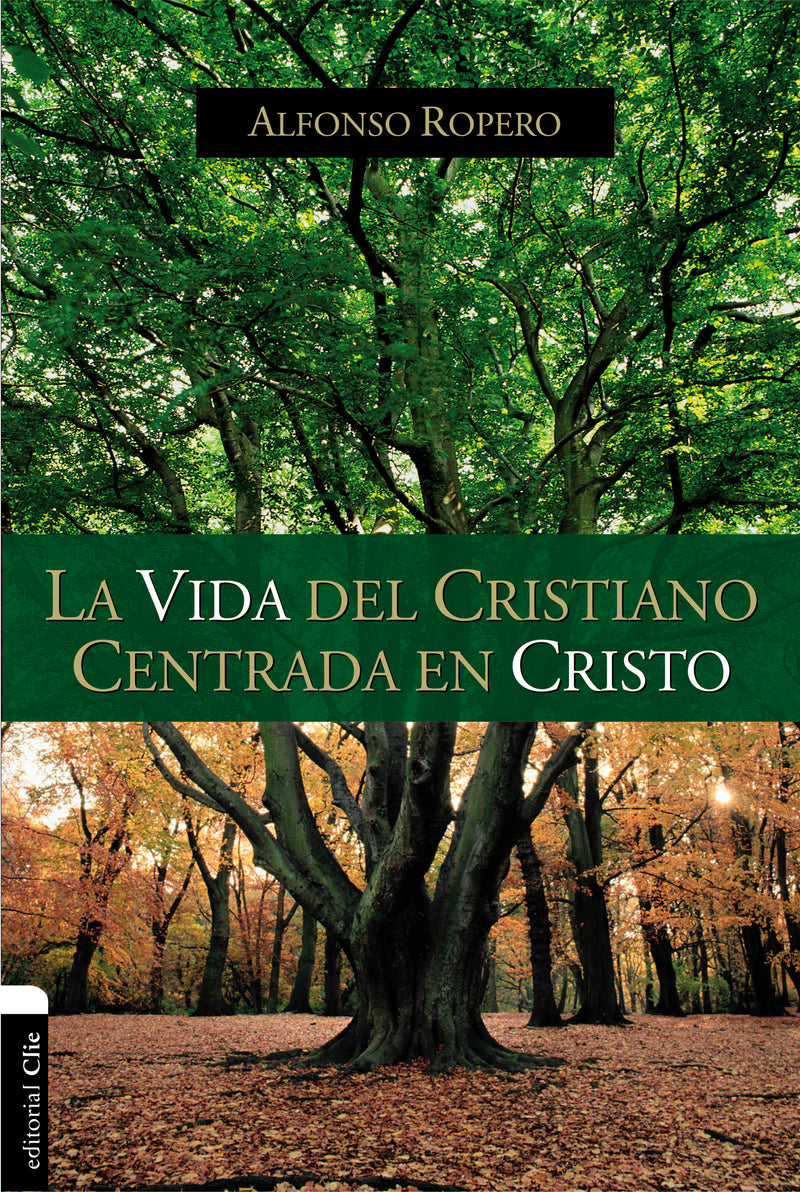 La vida del cristiano centrada en Cristo: La gran transformación