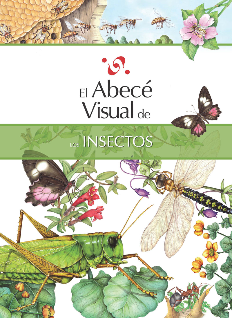 El abecé visual de los insectos