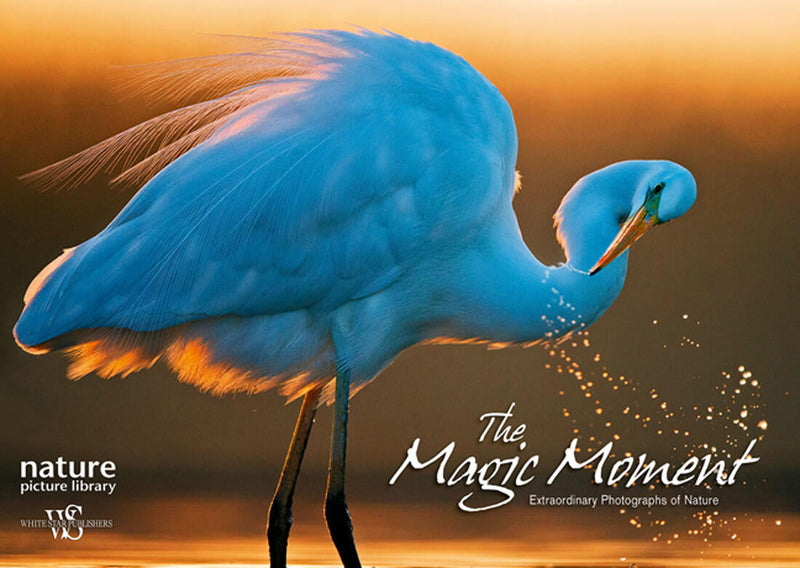 The Magic Moment