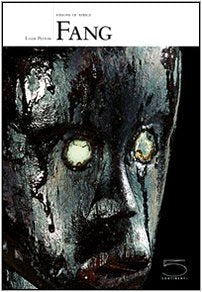 Fang Visions of Africa series