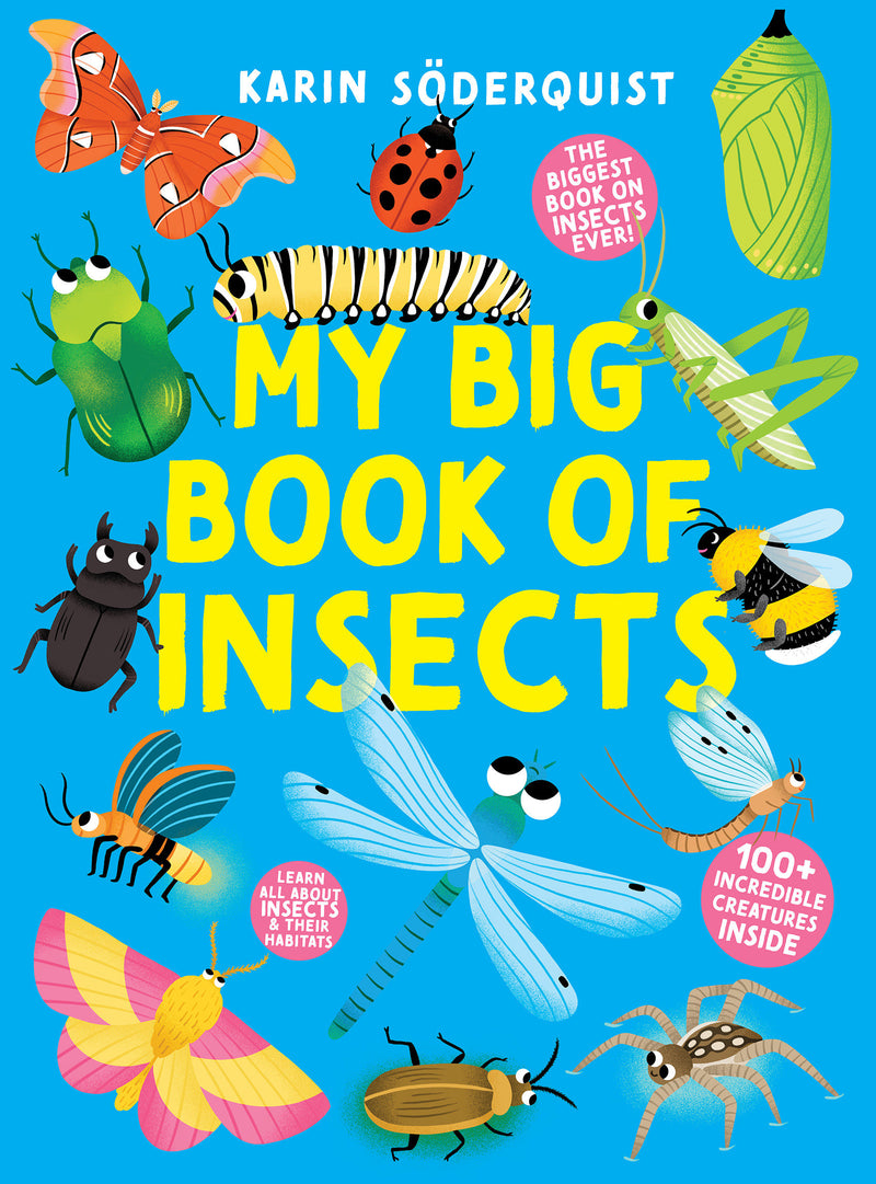 My Big Book of Insects