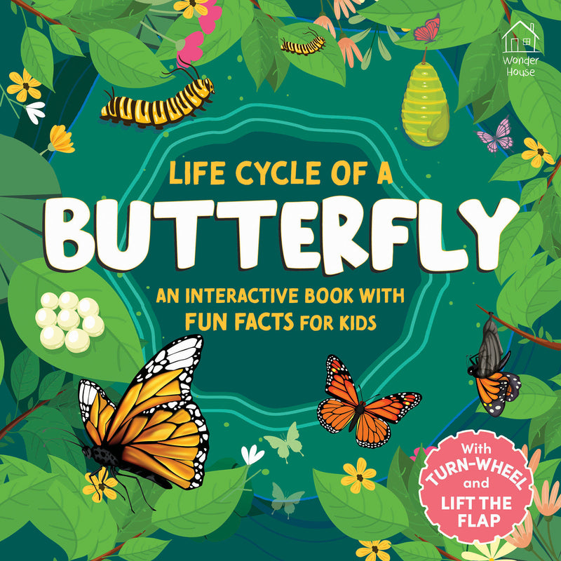 Life Cycles of a Butterfly - with Flaps and Turn the Wheel