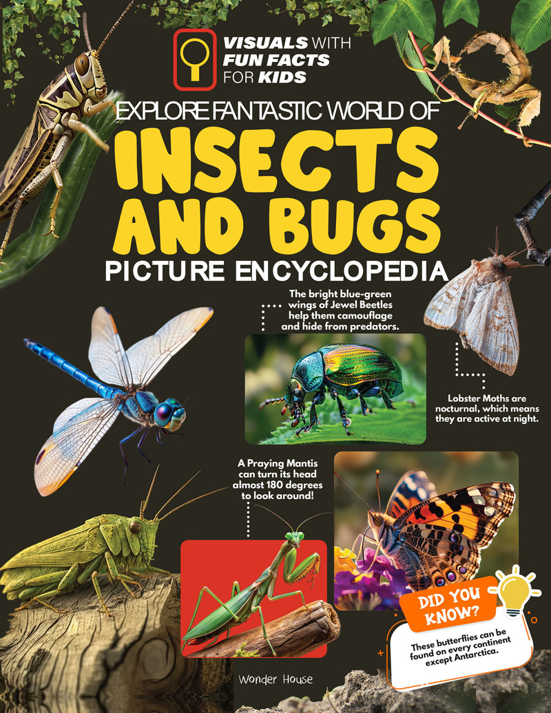 Explore Fantastic World of Insects And Bugs Picture Encyclopedia