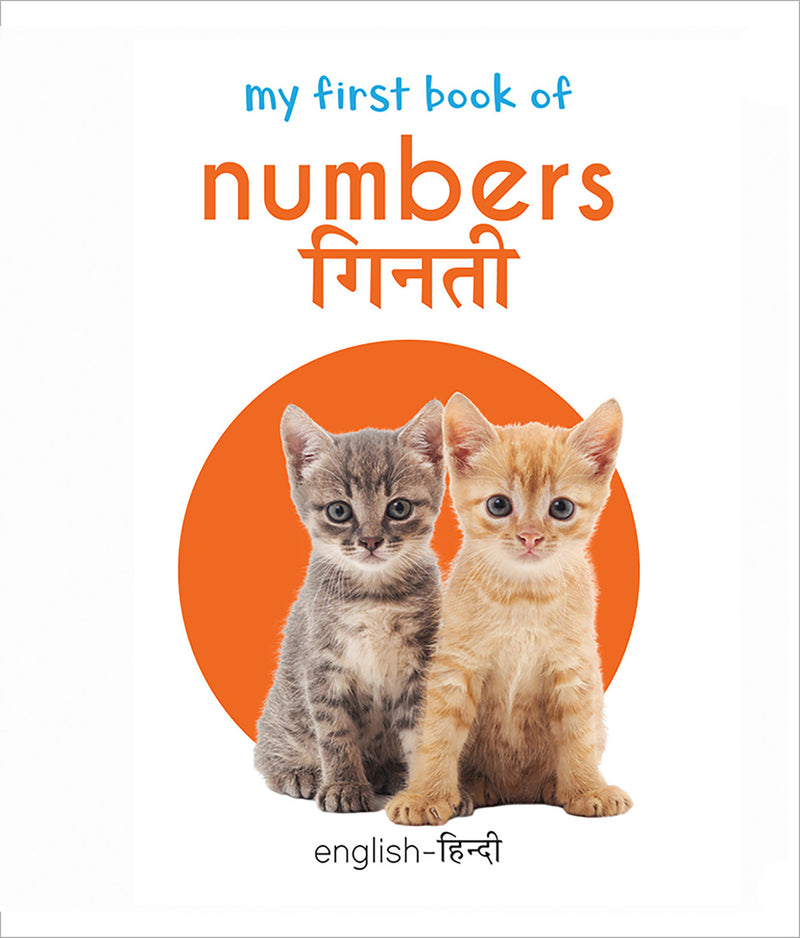 My First Book of Numbers - Ginti (English - Hindi): Bilingual Board Books For Children