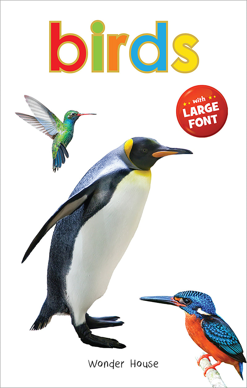 Birds - Early Learning Board Book With Large Font : Big Board Books Series