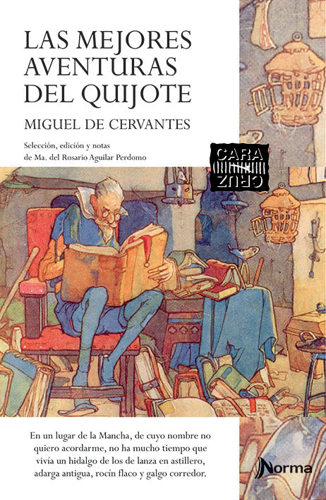 Las mejores aventuras del Quijote