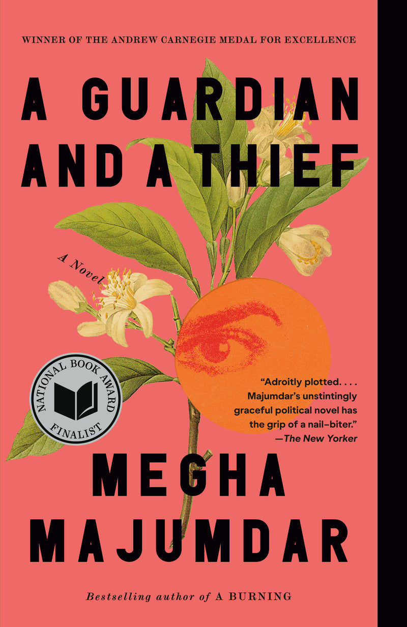 A Guardian and a Thief: A Novel