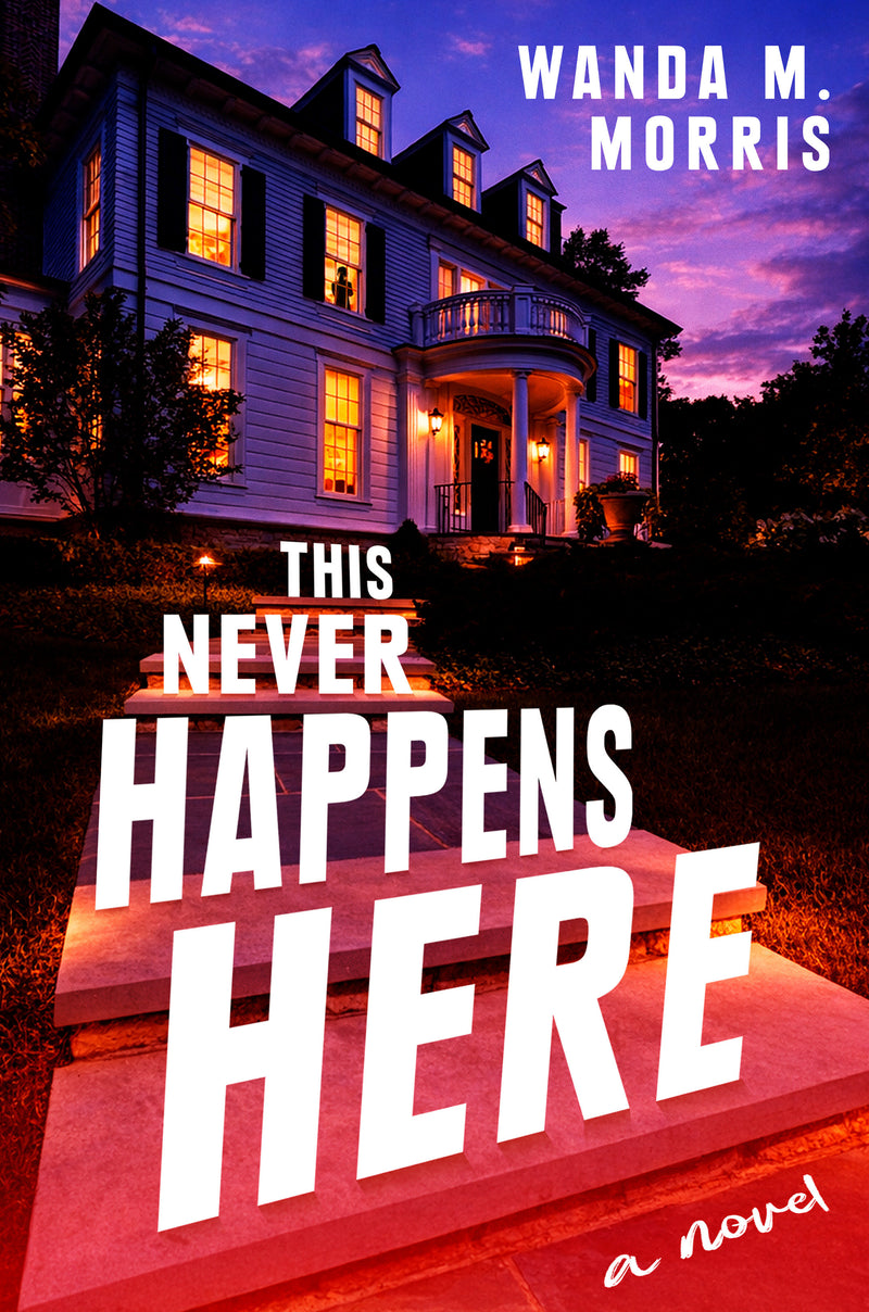 This Never Happens Here: A Novel