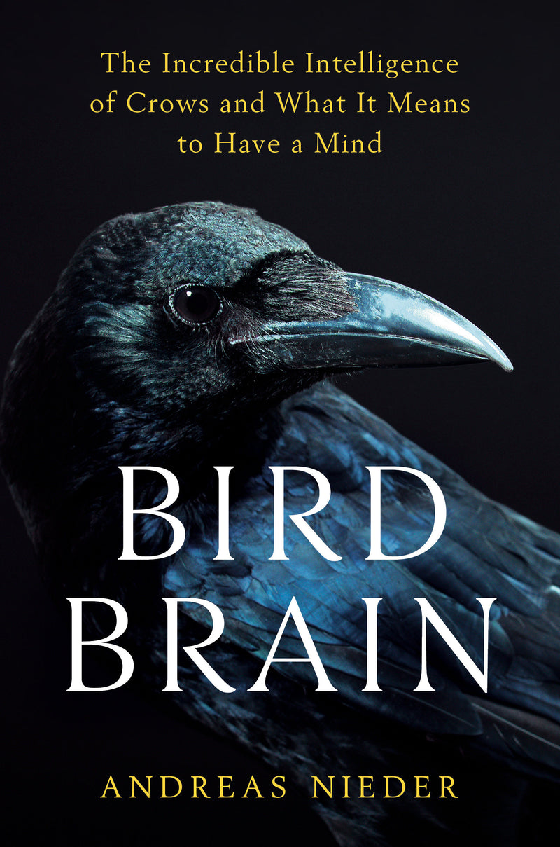 Bird Brain: The Incredible Intelligence of Crows and What It Means to Have a Mind