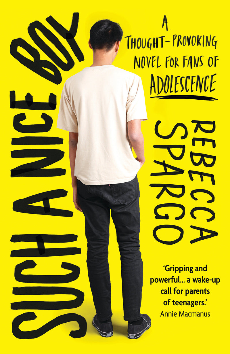 Such a Nice Boy: An unputdownable bookclub read about motherhood, toxic masculinity and the manosphere