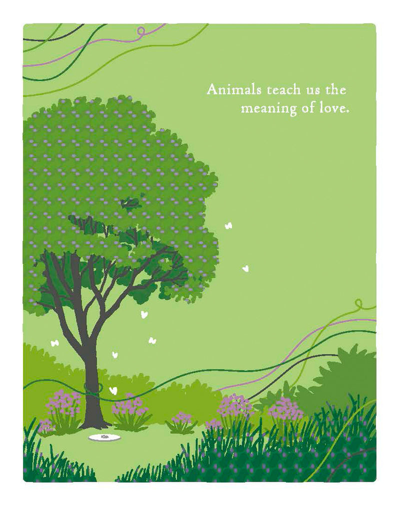 Positively Green Greeting Cards: Pet Sympathy - Animals Teach Us the Meaning of Love (Pack of 6)