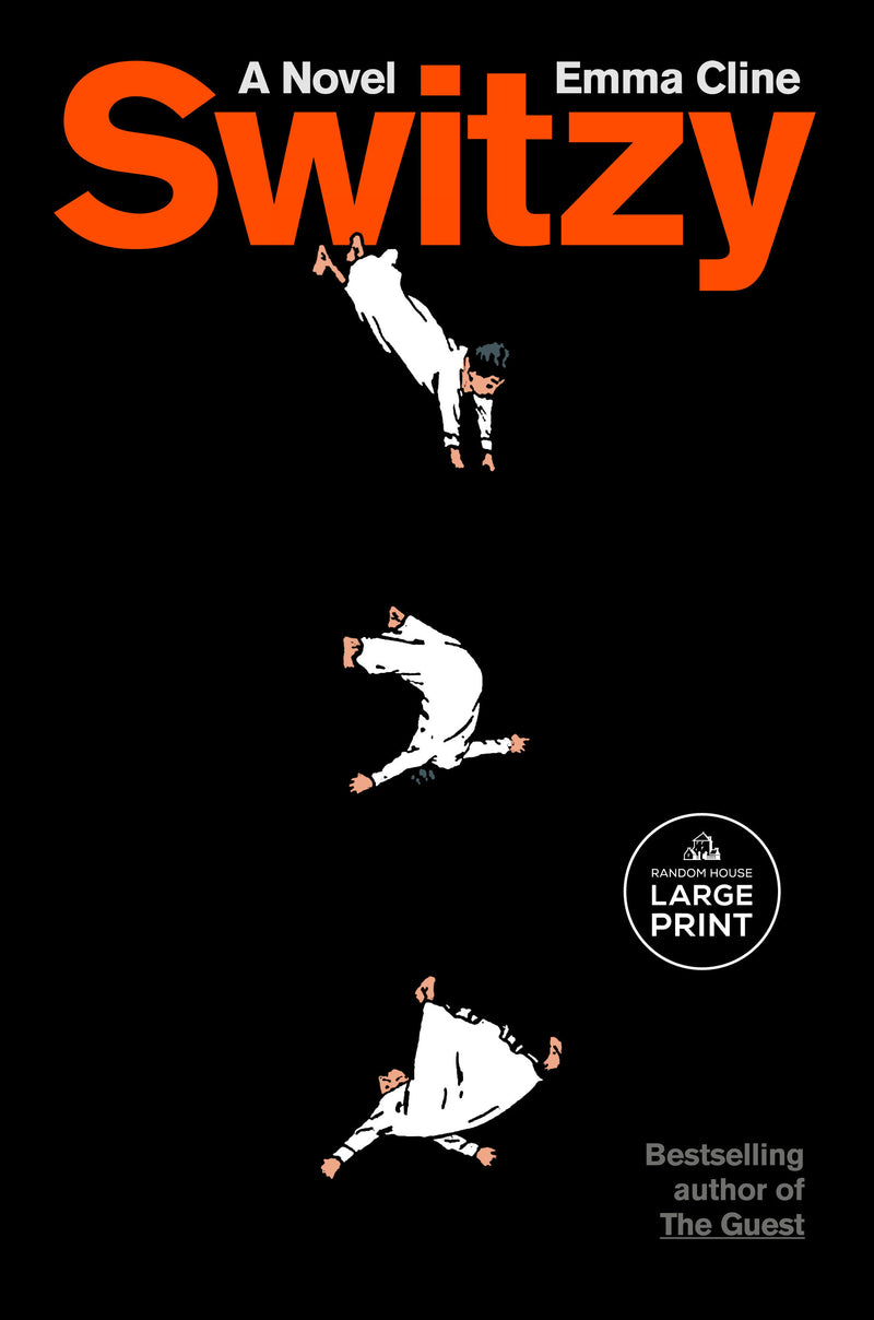 Switzy: A Novel