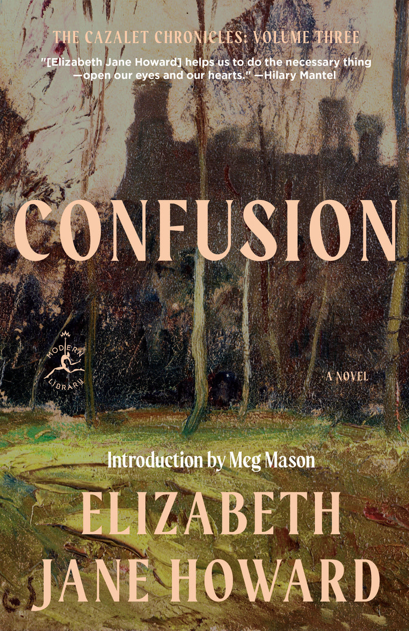 Confusion: A Novel