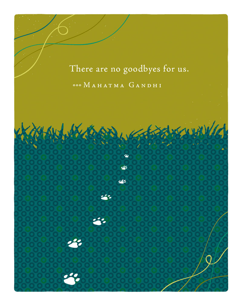 Positively Green Greeting Cards: Pet Sympathy - There are no goodbyes for us (Pack of 6)