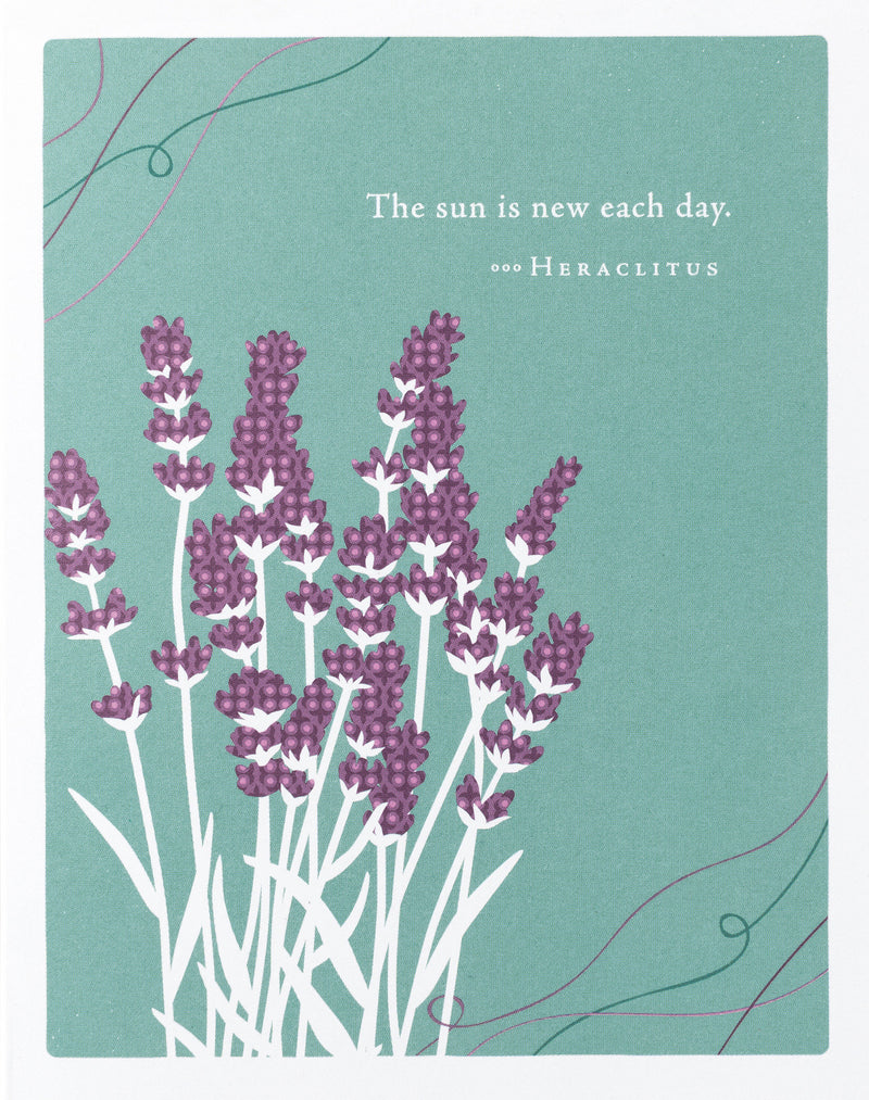 Positively Green Greeting Cards: Get Well - The sun is new each day (Pack of 6)