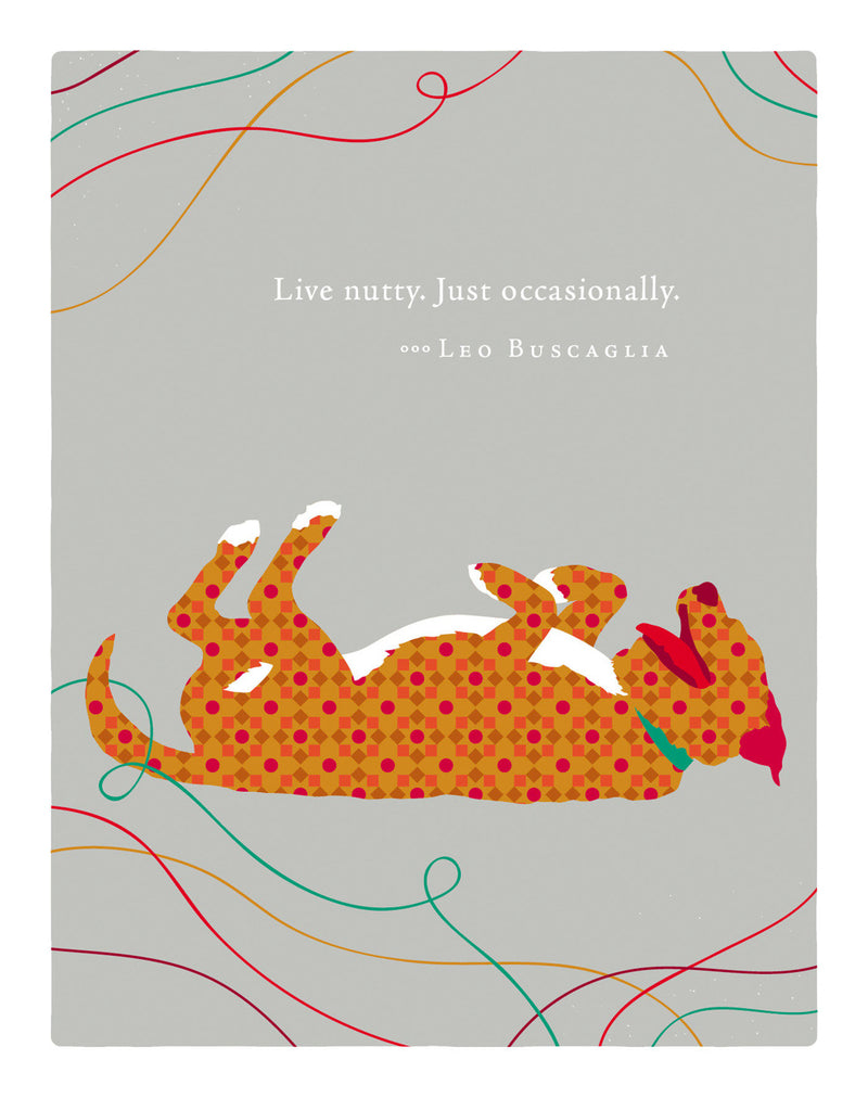 Positively Green Greeting Cards: Birthday - Live nutty. Just occasionally (Pack of 6)