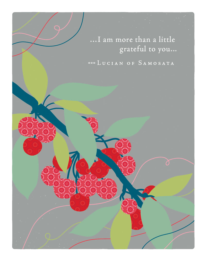 Positively Green Greeting Cards: Thank You - I am more than a little grateful to you (Pack of 6)
