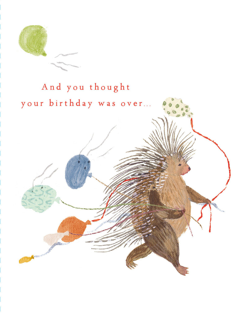 Love Muchly Greeting Cards: Belated Birthday - And you thought your birthday (Pack of 6)