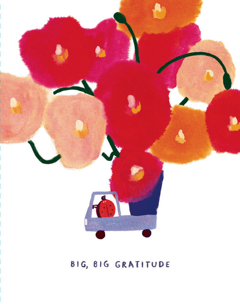 Love Muchly Greeting Cards: Thank You - Big, big gratitude (Pack of 6)