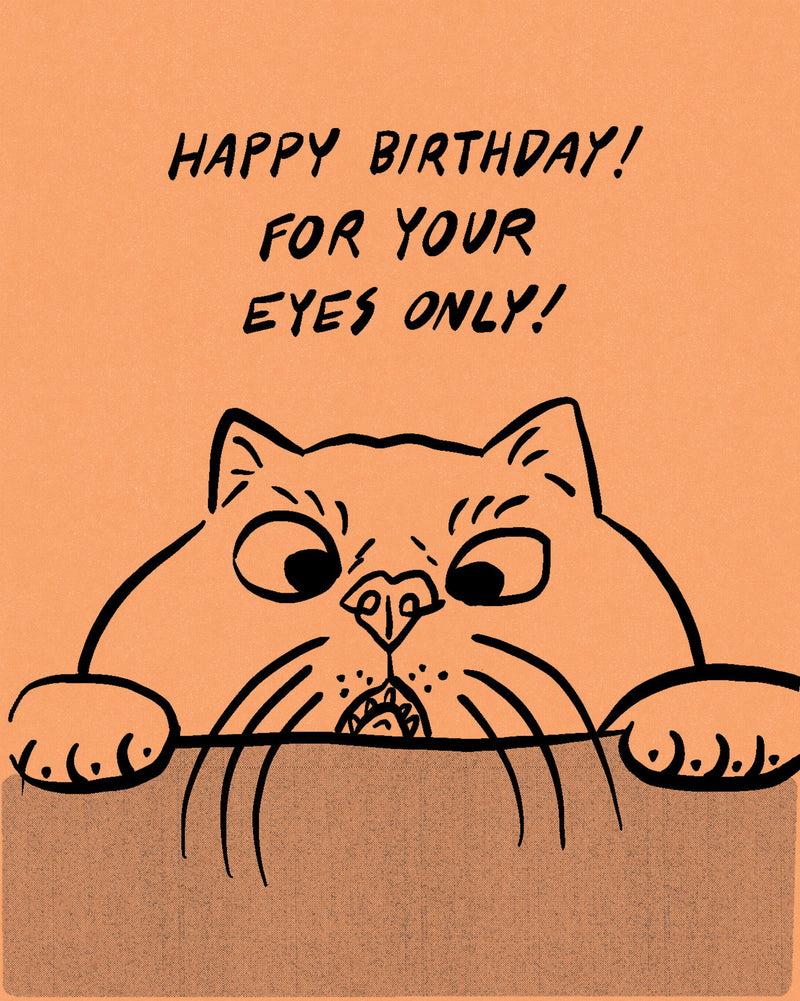 Humor Us Greeting Cards: Birthday - Happy Birthday! For your eyes only! (Pack of 6)