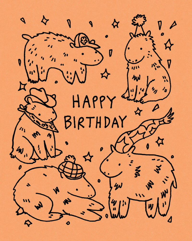 Humor Us Greeting Cards: Birthday - Happy Birthday (Capybaras) (Pack of 6)