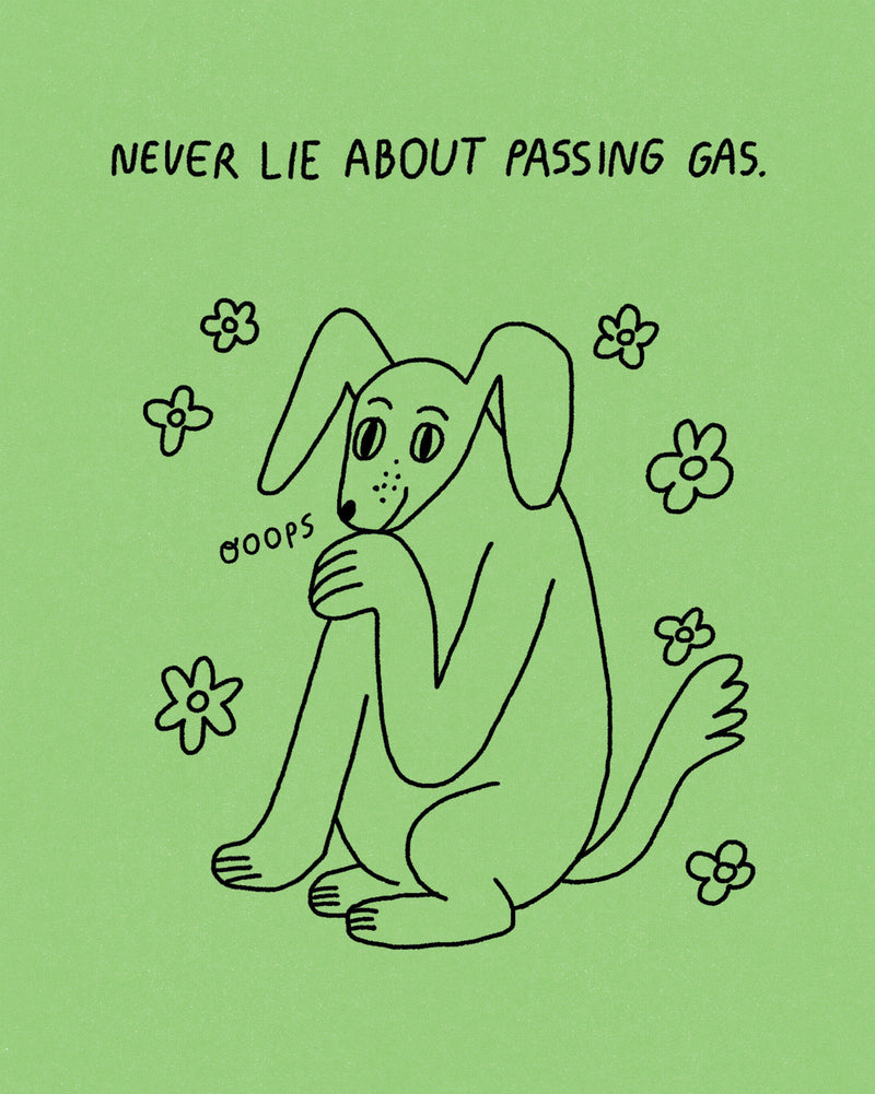 Humor Us Greeting Cards: Just For Laughs - Never lie about passing gas (Pack of 6)