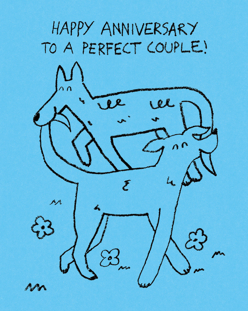 Humor Us Greeting Cards: Anniversary - Happy Anniversary to a perfect couple! (Pack of 6)