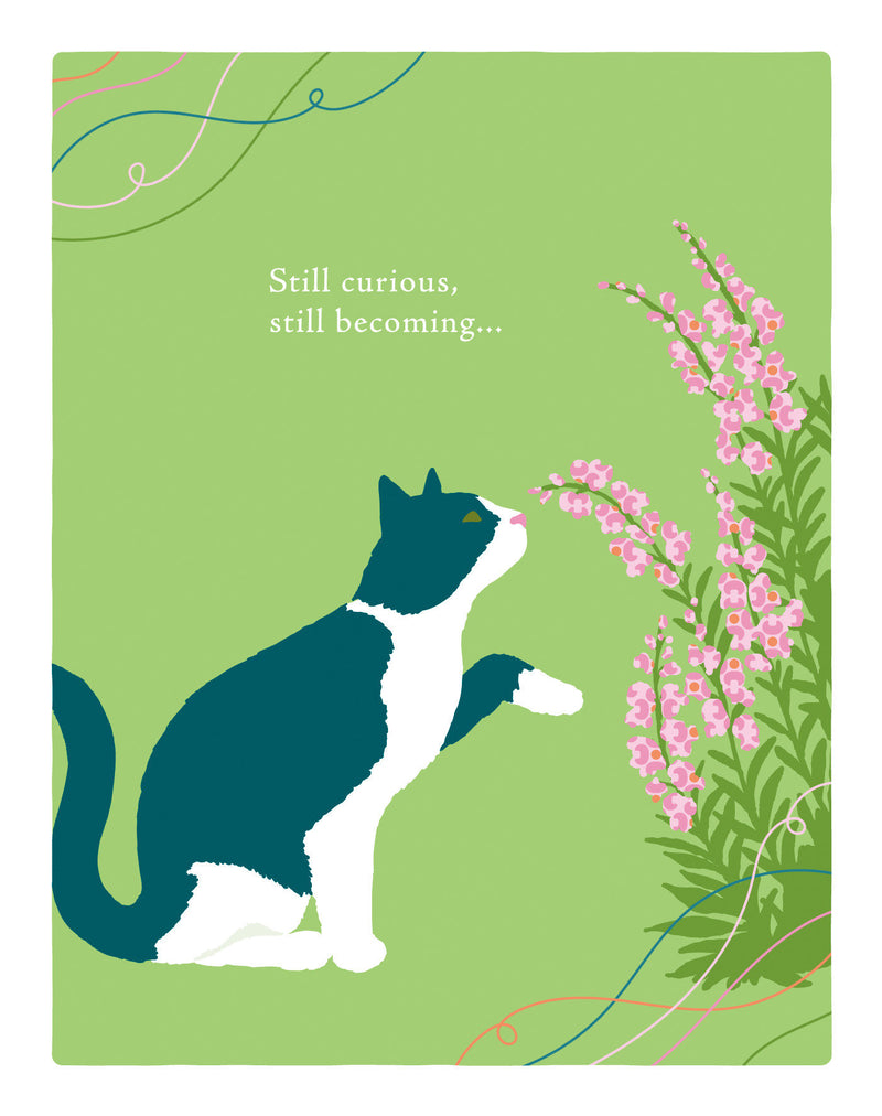 Positively Green Greeting Cards: Birthday - Still Curious, Still Becoming (Pack of 6)