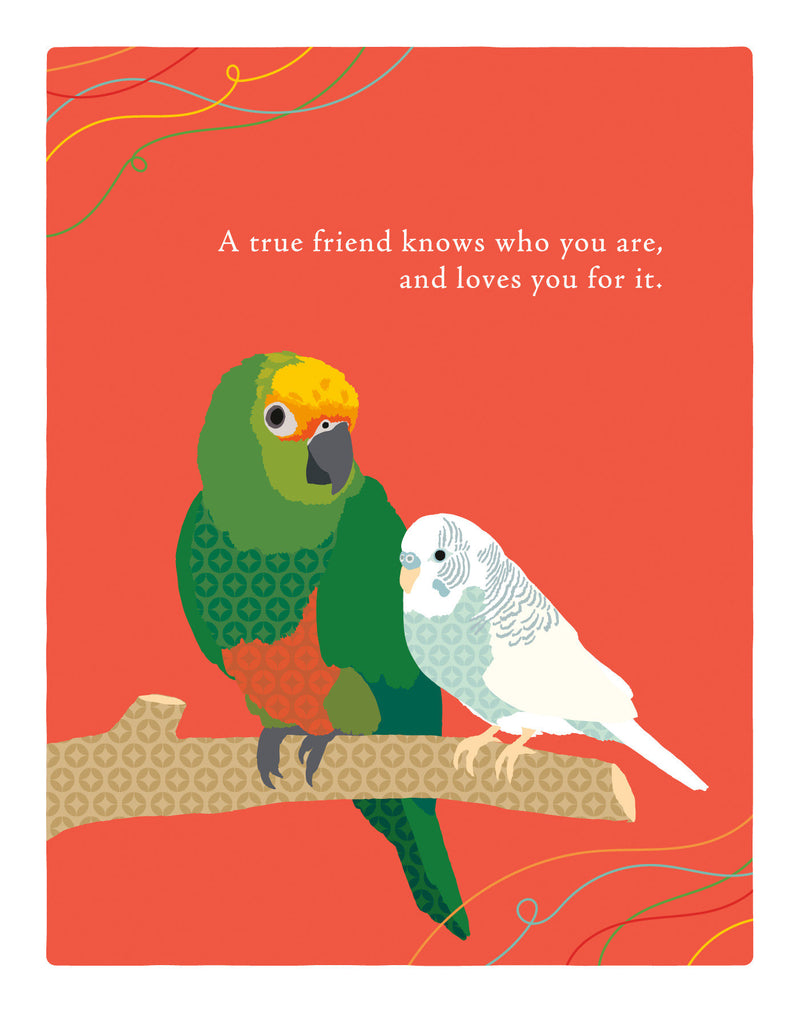 Positively Green Greeting Cards: Friendship - A True Friend Knows Who You Are, and Loves You for It (Pack of 6)