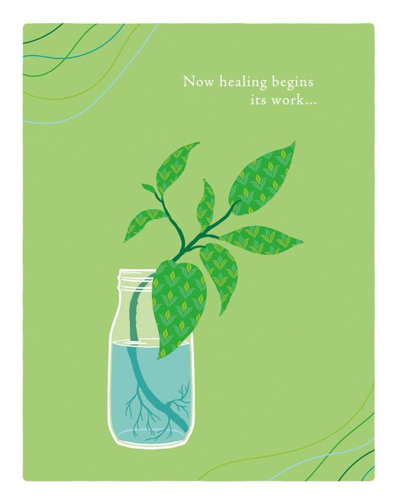 Positively Green Greeting Cards: Get Well - Now Healing Begins Its Work (Pack of 6)
