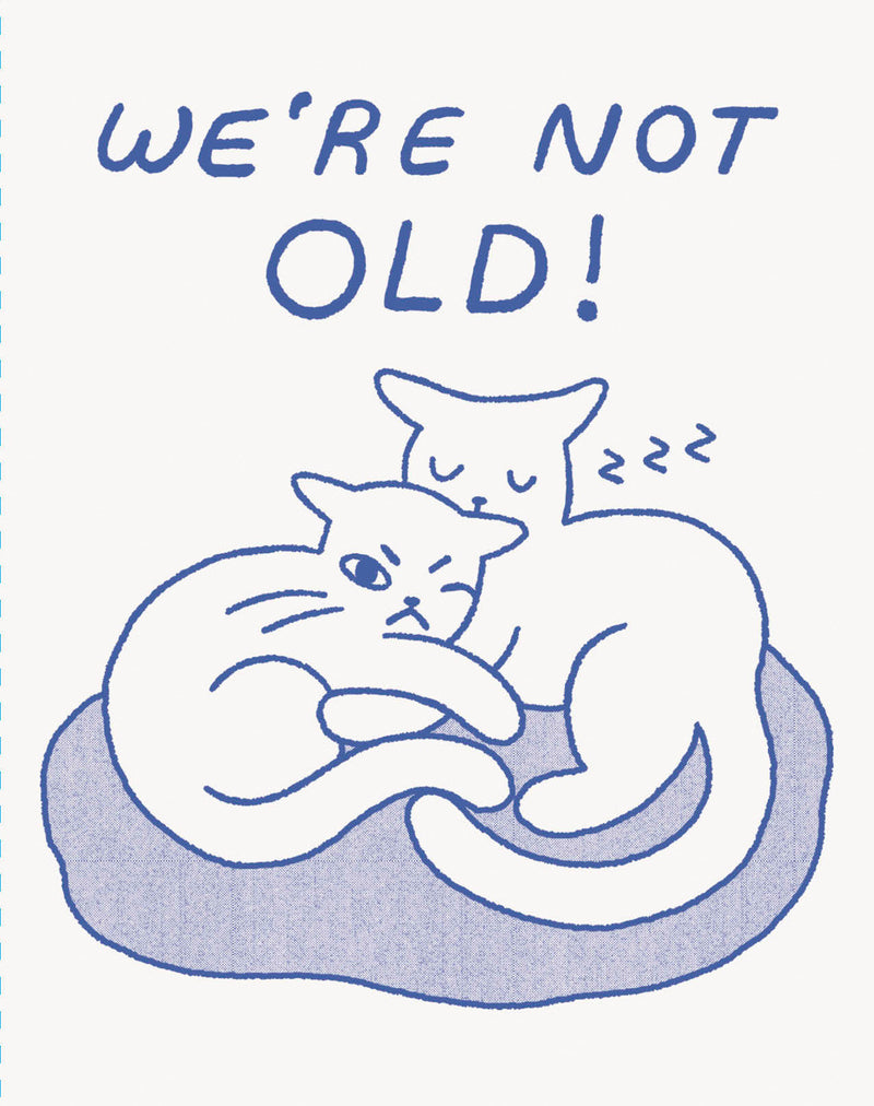 Humor Us Greeting Cards: Birthday - We're Not Old! (Pack of 6)