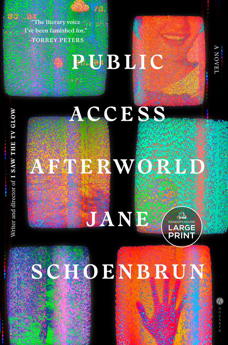 Public Access Afterworld: A Novel