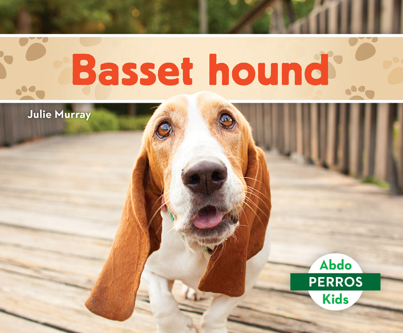 Basset hound (Basset Hounds)