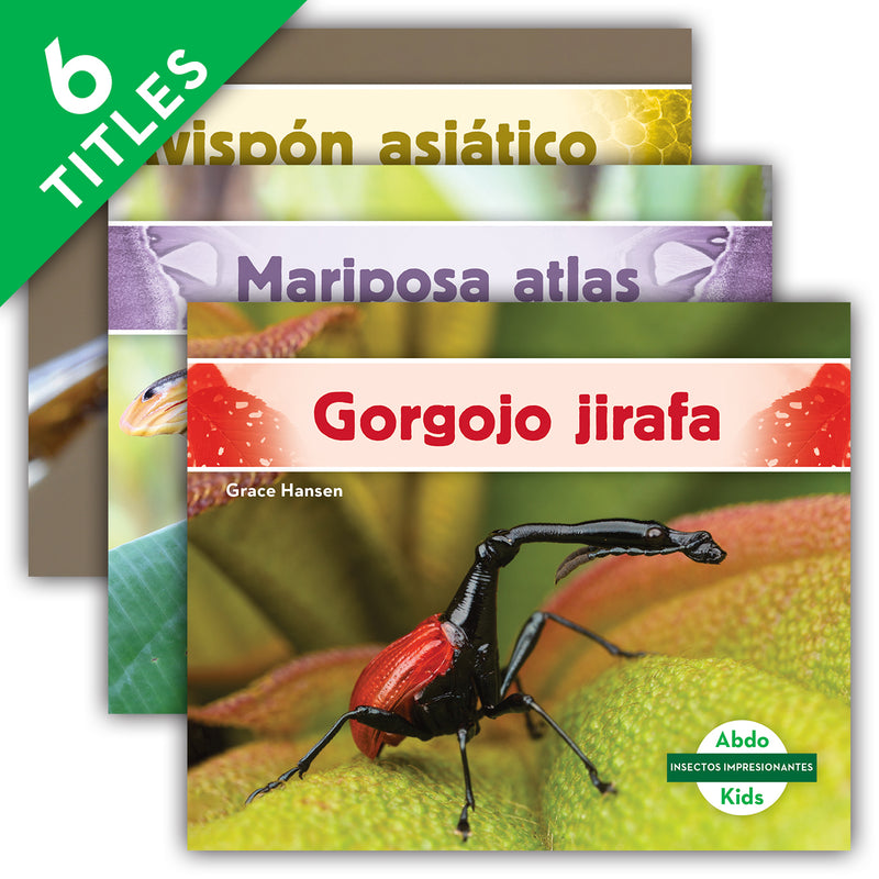 Insectos impresionantes (Incredible Insects) (Set)