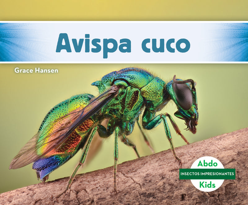 Avispa cuco (Cuckoo Wasp)
