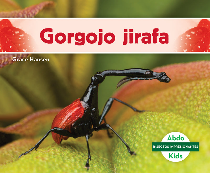Gorgojo jirafa (Giraffe Weevil)