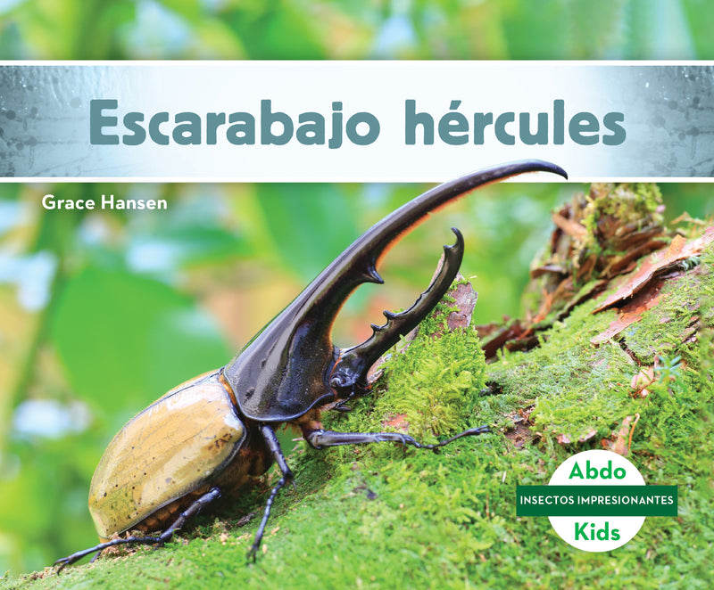 Escarabajo hércules (Hercules Beetle)
