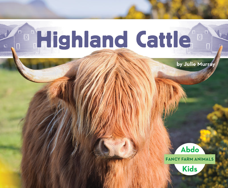 Highland cattle