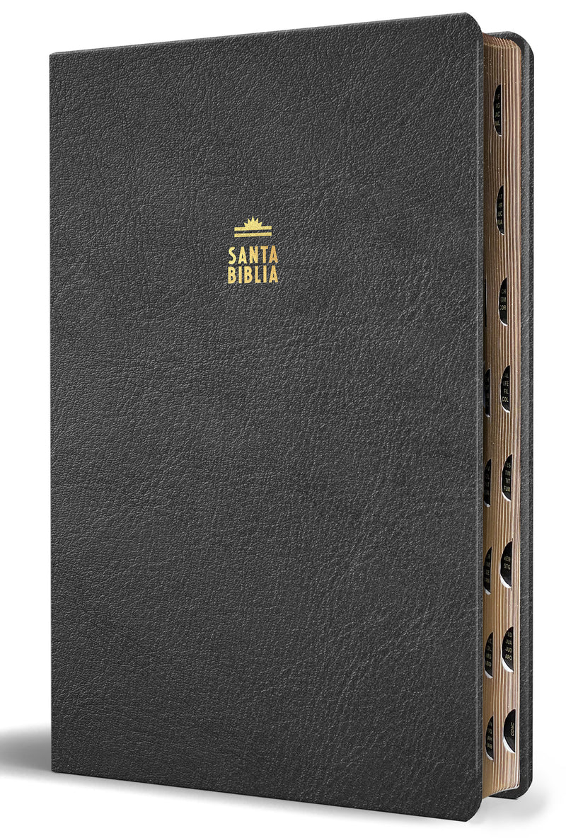 Biblia Reina Valera letra gigante, símil piel negro con índice / Spanish Bible Reina Valera Giant Print, Black Leathersoft with Index