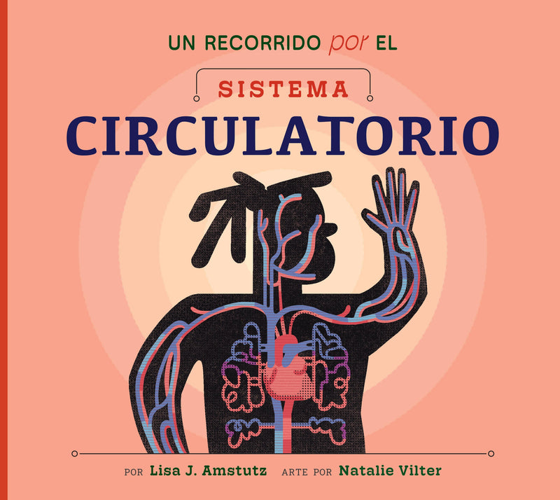 Un recorrido por el sistema circulatorio