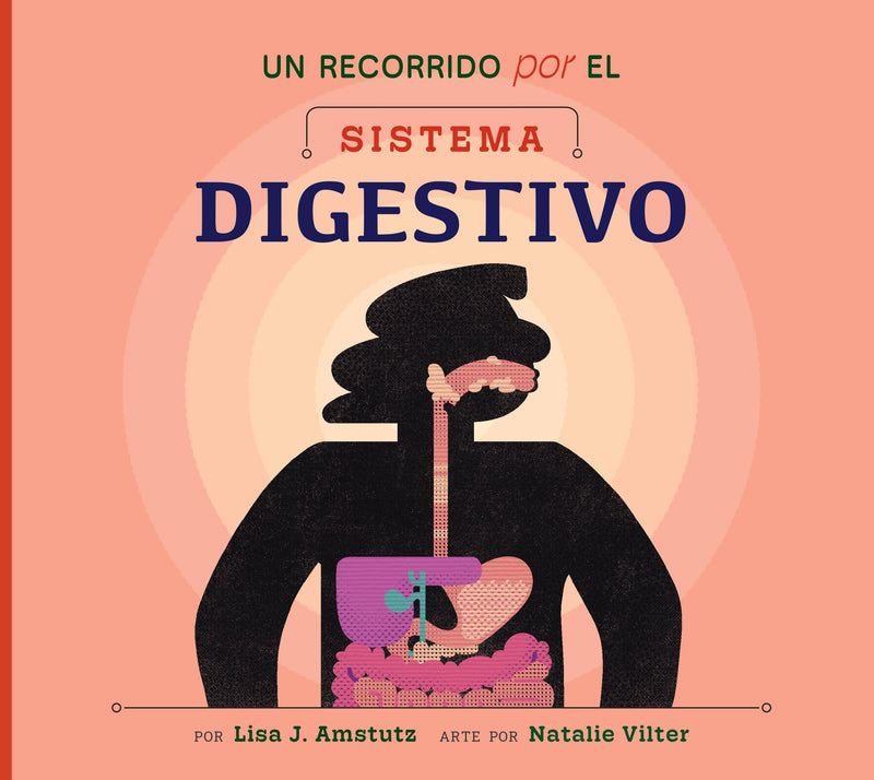 Un recorrido por el sistema digestivo