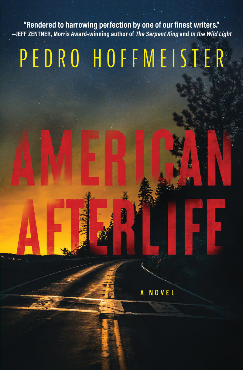 American Afterlife:A Novel