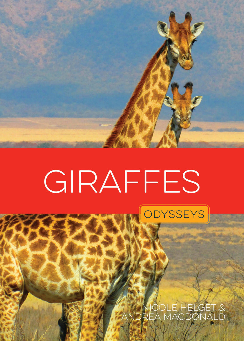 Giraffes
