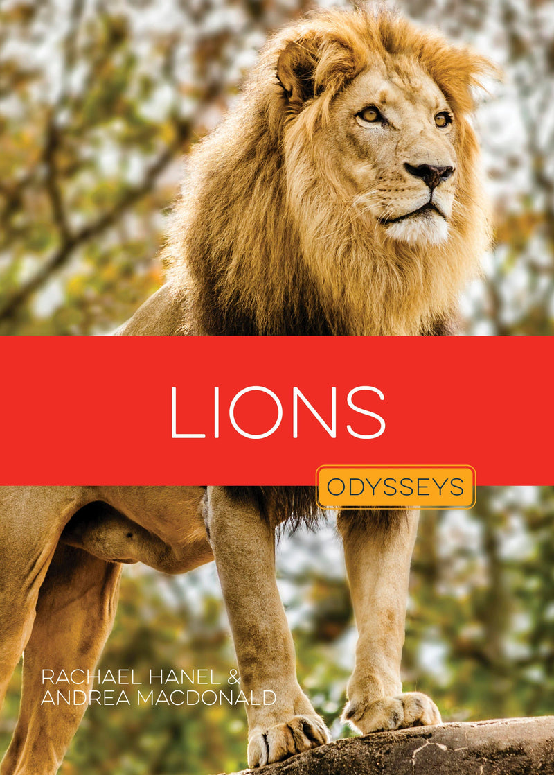 Lions