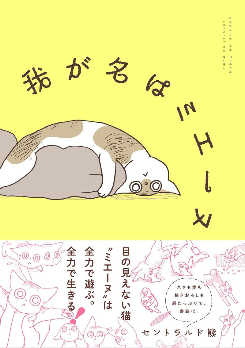 My Name is Mienne: Tales of a Blind Kitten