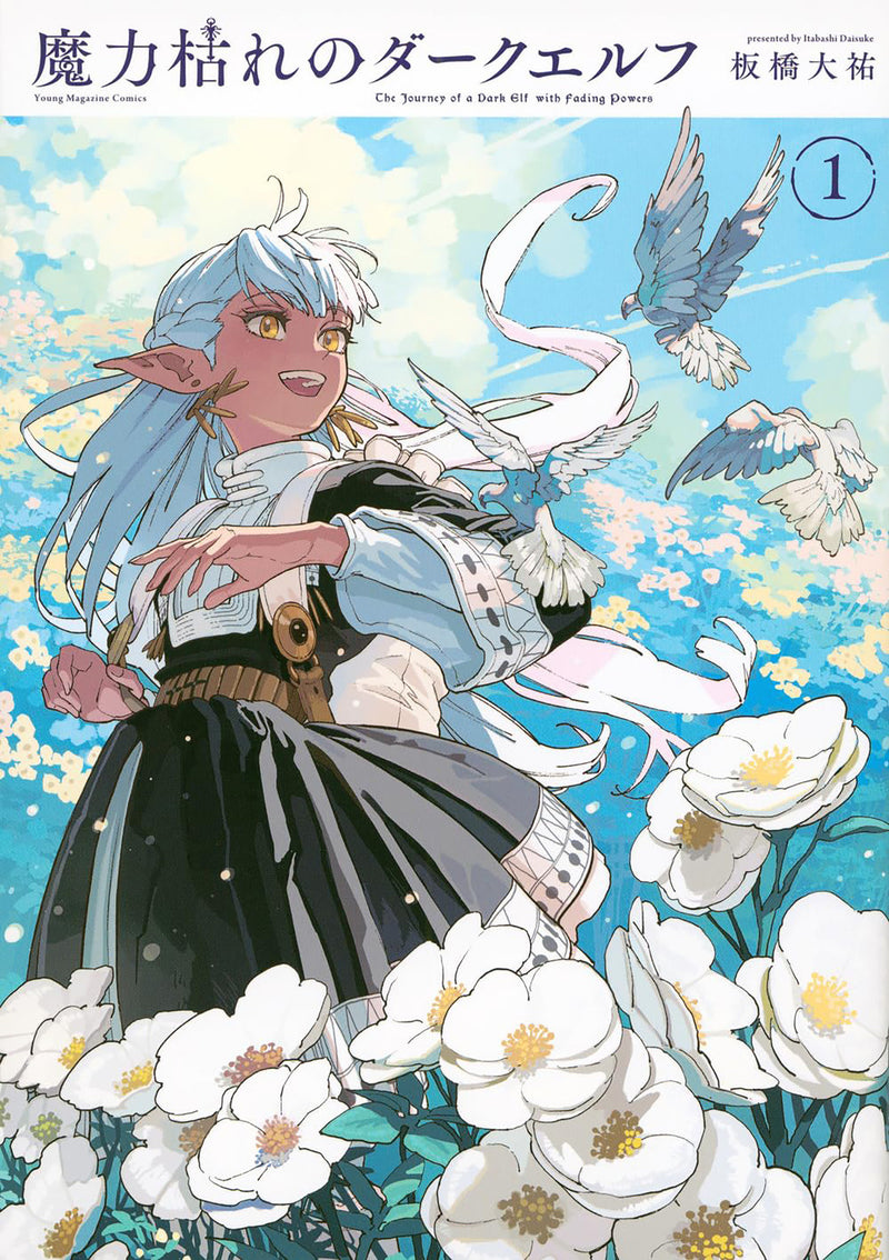The Journey of a Dark Elf with Fading Powers Vol. 1